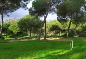 Land suitable for development for sale on España, La Puebla del Río, ref: TR289452 photo