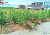 Terreny no urbanitzable en venda a la España, Palafolls, ref.: TR317757 foto