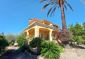 Xalet independent amb terreny en venda a la España, Elx, ref.: TR320342 foto