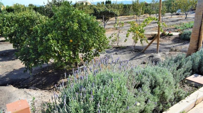Murcia - Puerto Lumbreras - 9500m2