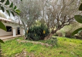 Casa de camp amb terreny en venda a la España, Ciutadella de Menorca, ref.: TR158162 foto