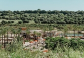 Parcel·la urbanitzable en venda a la España, San Roque, ref.: TR125942 foto