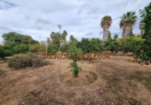 Sòl urbà en venda a la España, Dénia, ref.: TR203779 foto