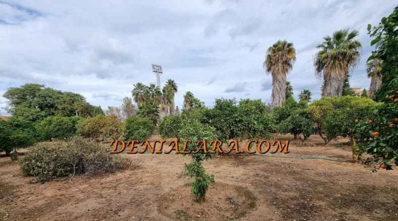 Alicante - Denia - 2499m2
