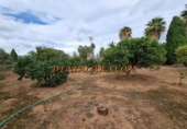 Sòl urbà en venda a la España, Dénia, ref.: TR203779 foto