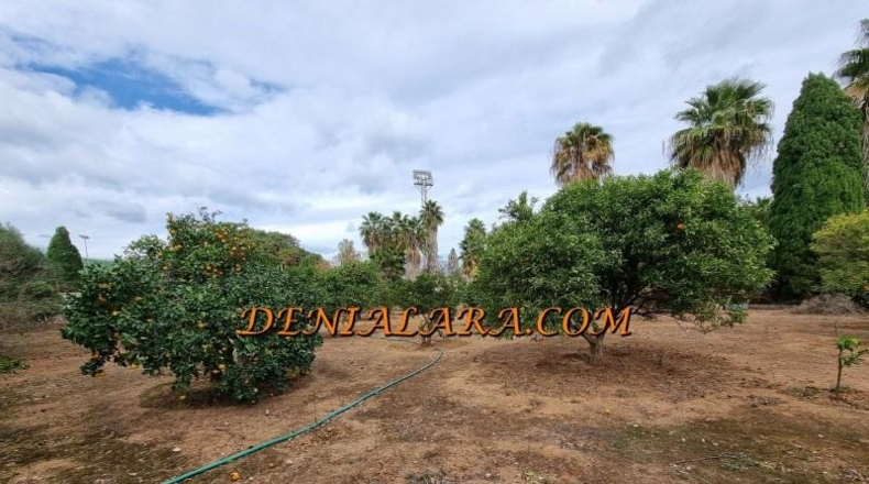 Alicante - Denia - 2499m2