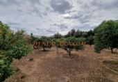 Sòl urbà en venda a la España, Dénia, ref.: TR203779 foto