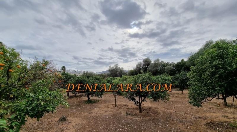 Alicante - Denia - 2499m2