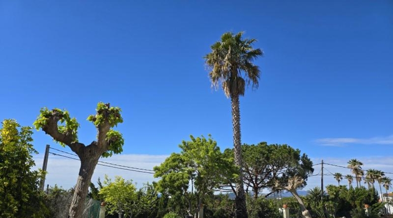 Gerona - Lloret de Mar - 1000m2