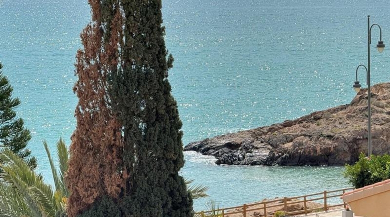 Murcia - Mazarrón - 506m2