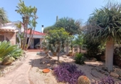 Отдельно стоящий дом с участком на продажу в городе Ciutadella de Menorca Фото