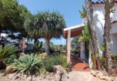Отдельно стоящий дом с участком на продажу в городе Ciutadella de Menorca Фото