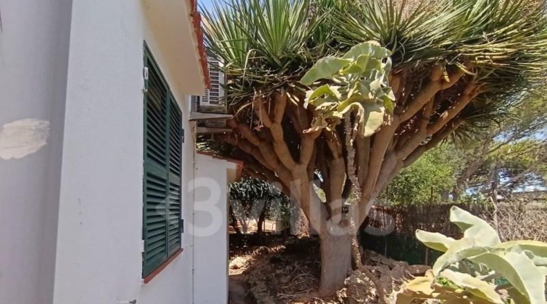 Islas Baleares - Ciudadela - 1301m2