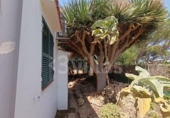 Отдельно стоящий дом с участком на продажу в городе Ciutadella de Menorca Фото