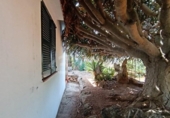 Отдельно стоящий дом с участком на продажу в городе Ciutadella de Menorca Фото