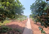 Отдельно стоящий дом с участком на продажу в городе Ciutadella de Menorca Фото