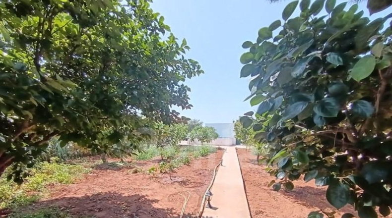 Islas Baleares - Ciudadela - 1301m2