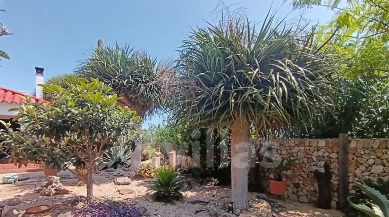 Islas Baleares - Ciudadela - 1301m2