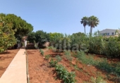 Отдельно стоящий дом с участком на продажу в городе Ciutadella de Menorca Фото