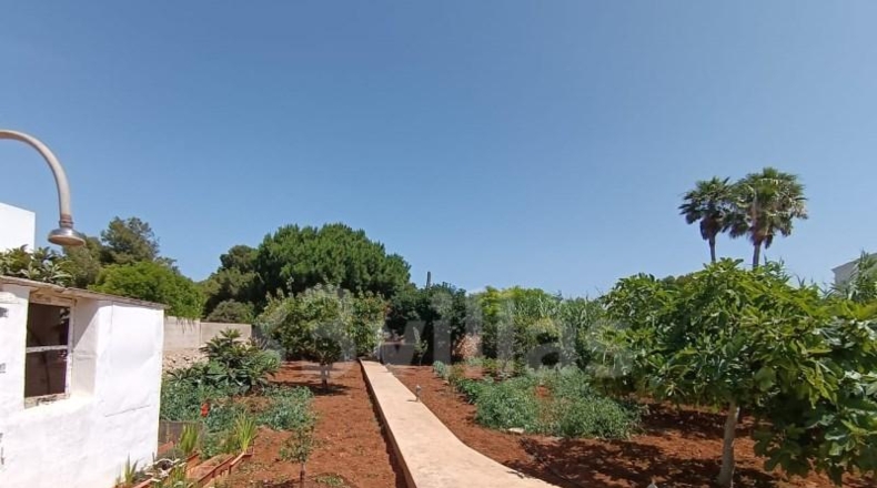 Islas Baleares - Ciudadela - 1301m2