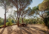 Finca rústica en venda a la España, Platja d'Aro, ref.: TR298902 foto