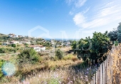 Casa de camp amb terreny en venda a la España, Rincón de la Victoria, ref.: TR245607 foto