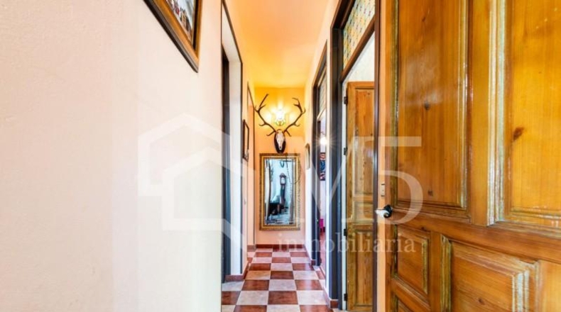 Málaga - Rincón de la Victoria - 3750m2