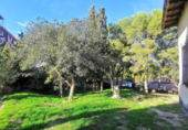 Detached villa with land for sale on España, Alicante, ref: TR137389 photo