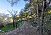 Detached villa with land for sale on España, Alicante, ref: TR137389 photo