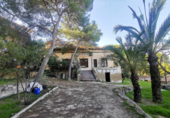 Detached villa with land for sale on España, Alicante, ref: TR137389 photo