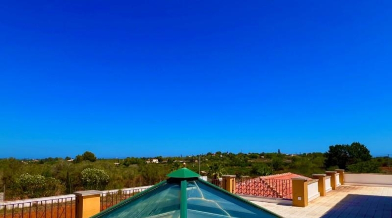 Alicante - Pedreguer - 8107m2