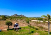 Chalet independiente con terreno en venta en la España, Pedreguer, ref: TR326285 foto