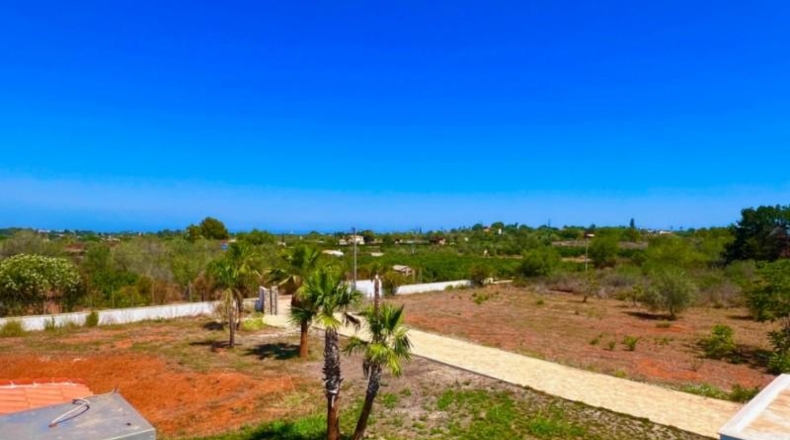 Alicante - Pedreguer - 8107m2