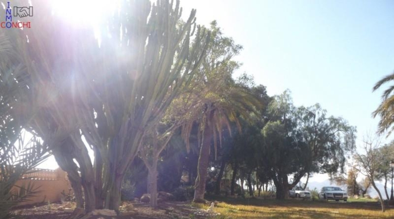 Murcia - Mazarrón - 15000m2