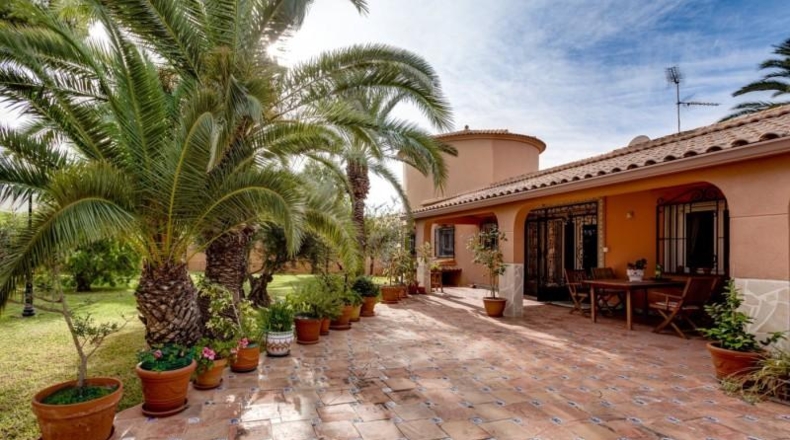 Alicante - Torrevieja - 1850m2