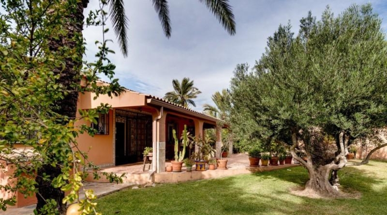 Alicante - Torrevieja - 1850m2