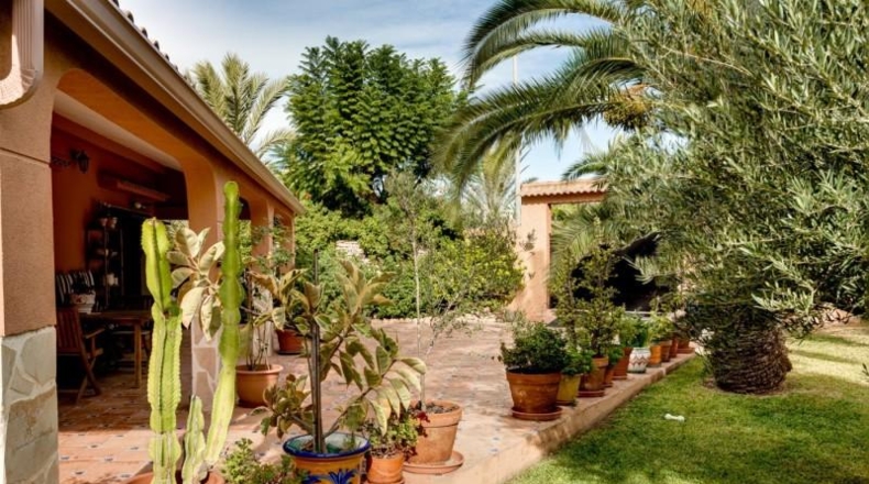 Alicante - Torrevieja - 1850m2