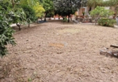 Xalet independent amb terreny en venda a la España, Elx, ref.: TR139593 foto