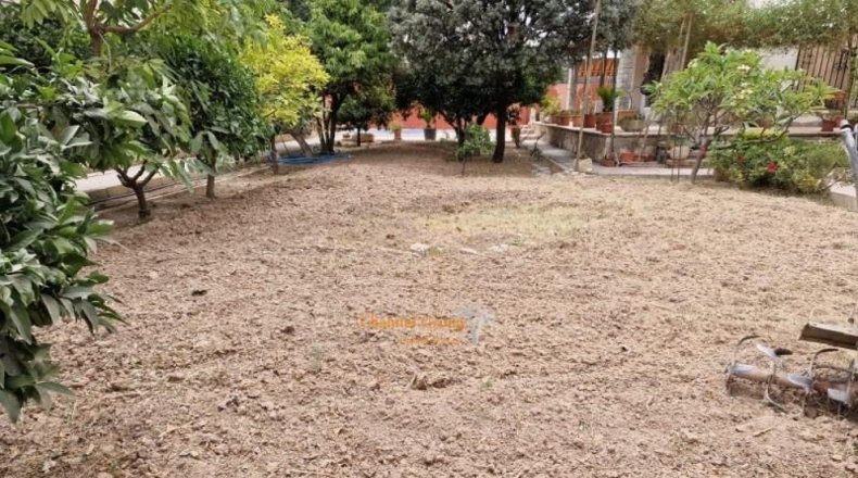 Alicante - Elche - 950m2