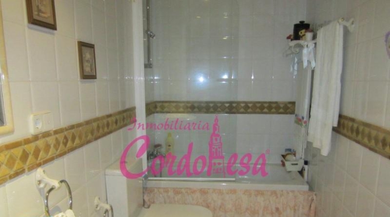 Córdoba - Córdoba - 725m2