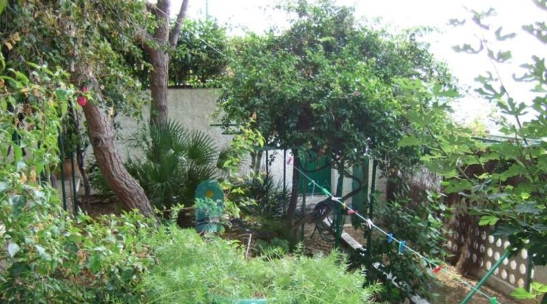 Murcia - Cartagena - 792m2