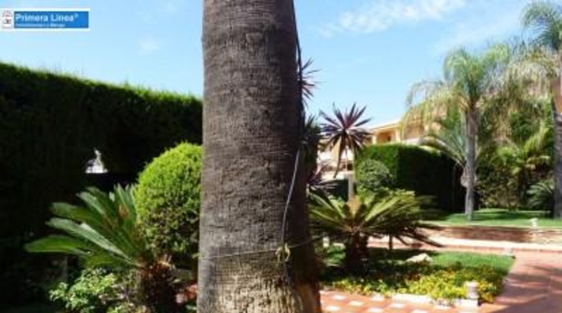 Murcia - San Javier - 1203m2