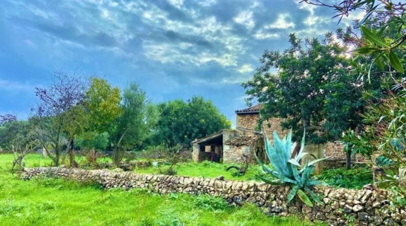 Islas Baleares - Pollença - 7000m2