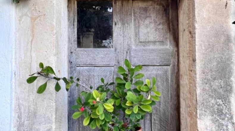 Islas Baleares - Campanet - 971m2