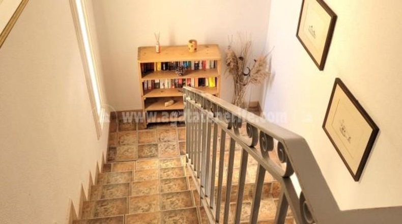 Santa Cruz de Tenerife - Adeje - 475m2