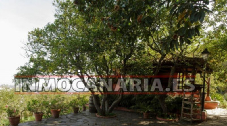Las Palmas - Vega de San Mateo - 3500m2