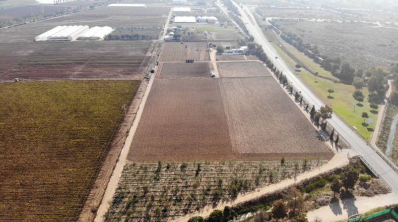 Cádiz - Chipiona - 33471m2