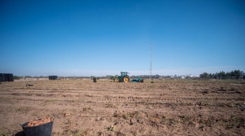 Cádiz - Chipiona - 33471m2