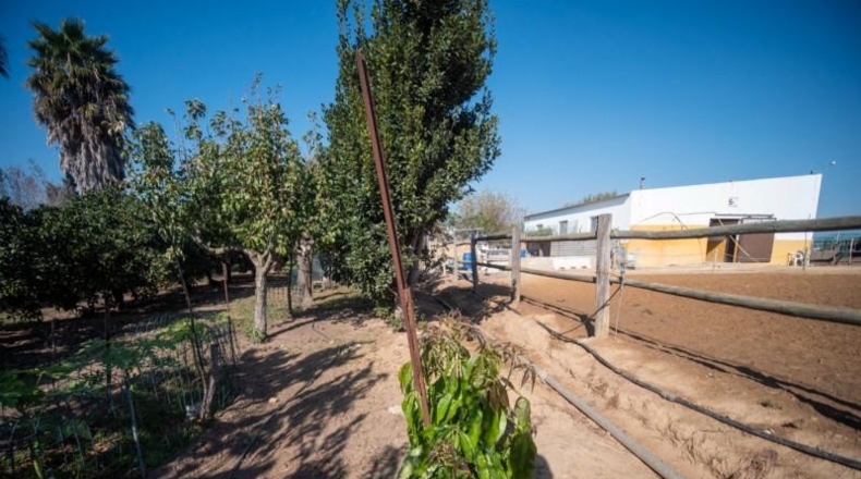 Cádiz - Chipiona - 33471m2