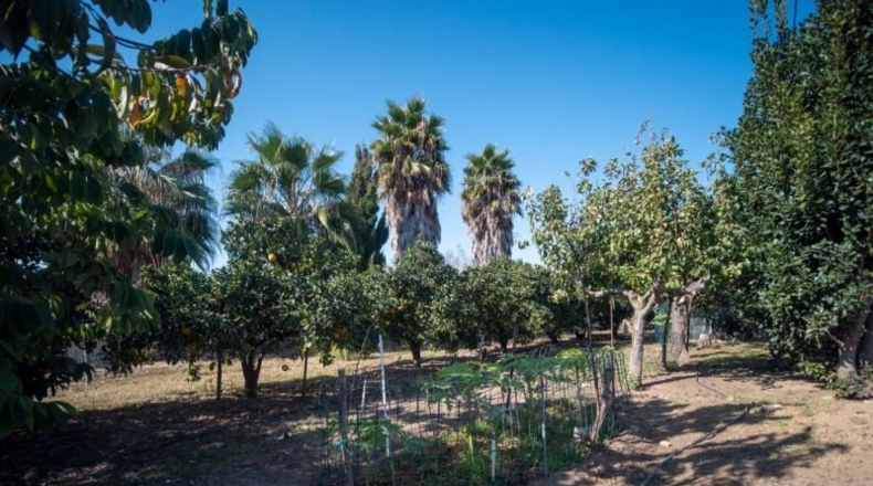 Cádiz - Chipiona - 33471m2